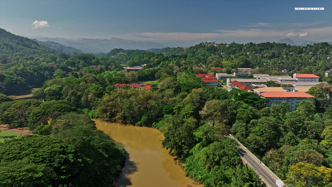 Feels like yesterday